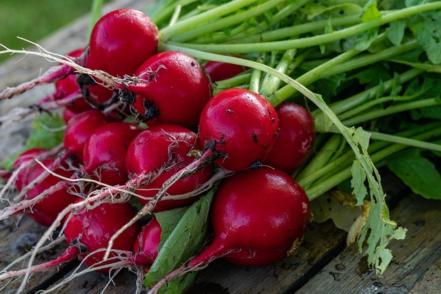 radishes are among the easiest fruits and vegetables to grow for beginners