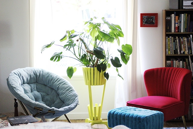 potted indoor plant