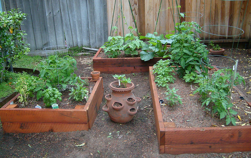 raised planter beds can be useful for pacific northwest gardening