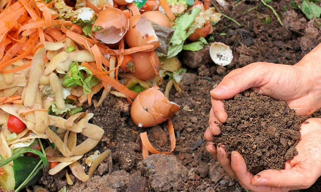 compost used as mulch