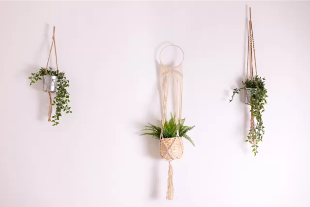 Macramé Hangers