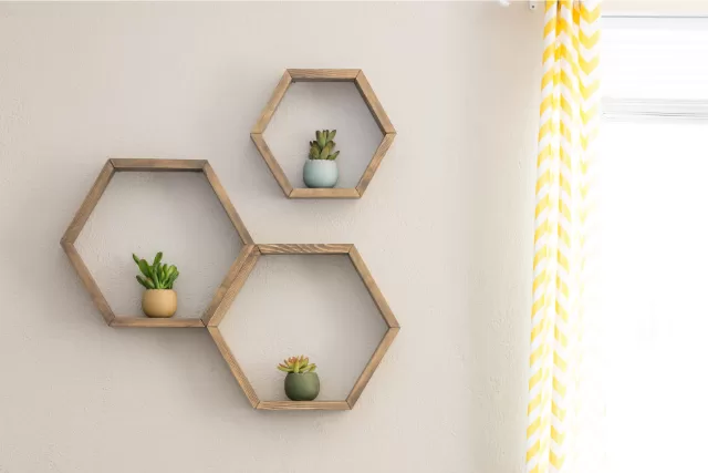 Wall mounted Planters