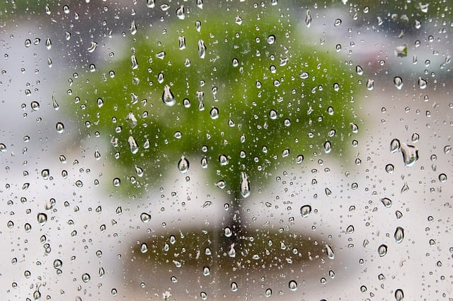 raindrops-on-window-with-tree