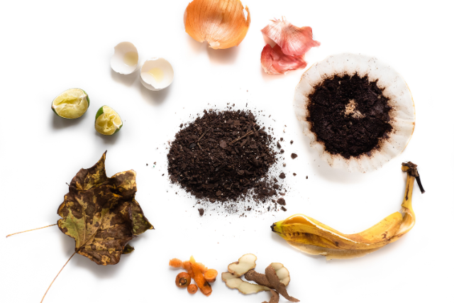 Green materials such as coffee and othe food scraps