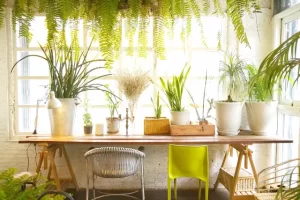 indoor garden