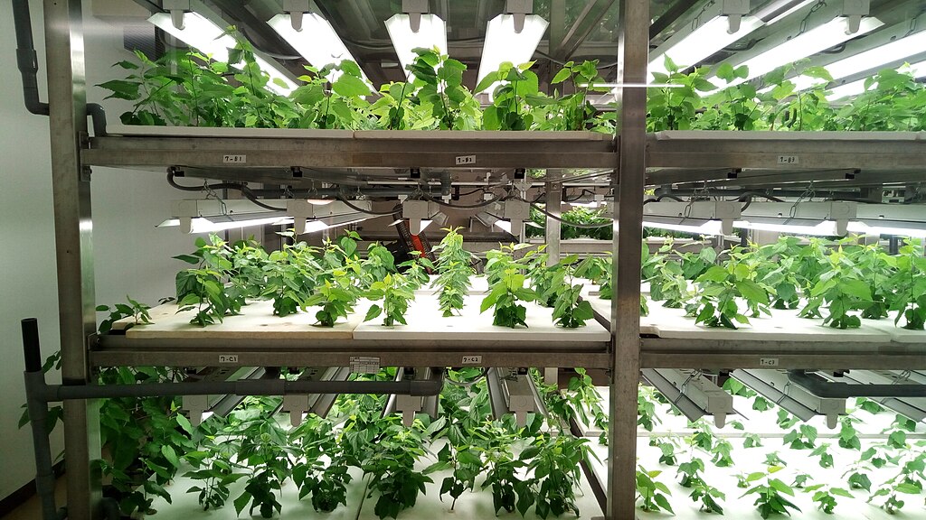indoor hydroponics systems