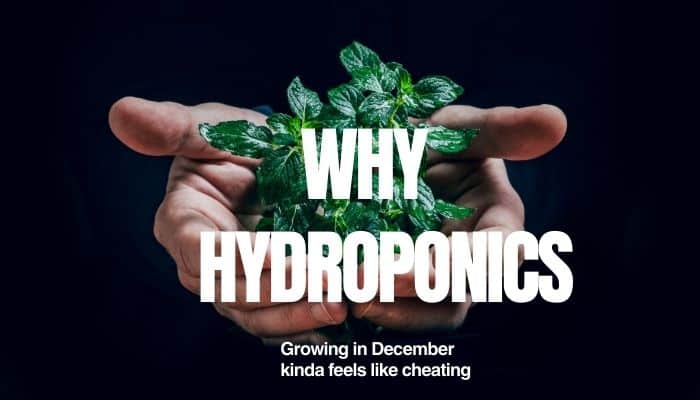 hydroponics-poster
