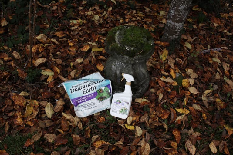 organic pest control