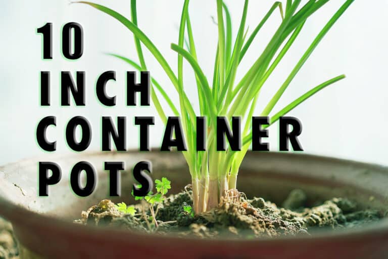 container-pots
